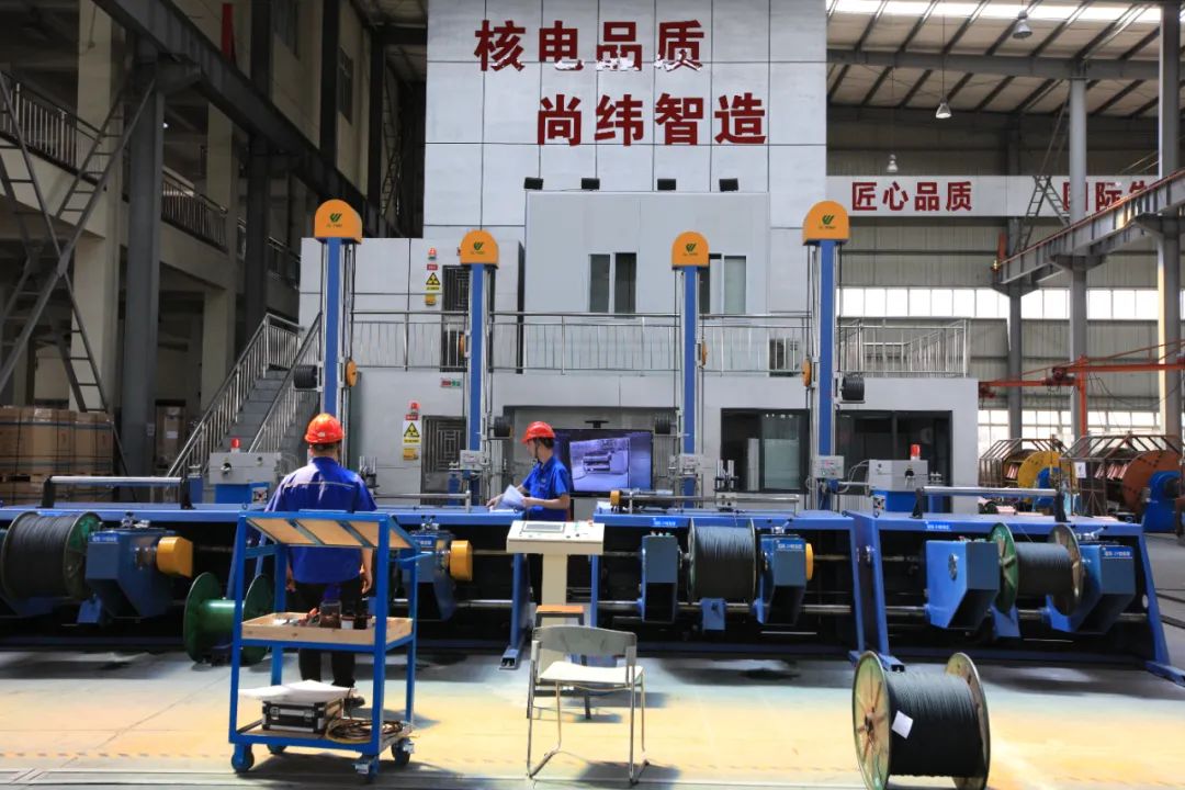 1736749391134659.jpg 2.jpg